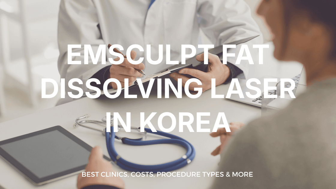 EmSculpt Fat Dissolving Laser in Korea | Best Clinics, Costs, Procedure Types & More