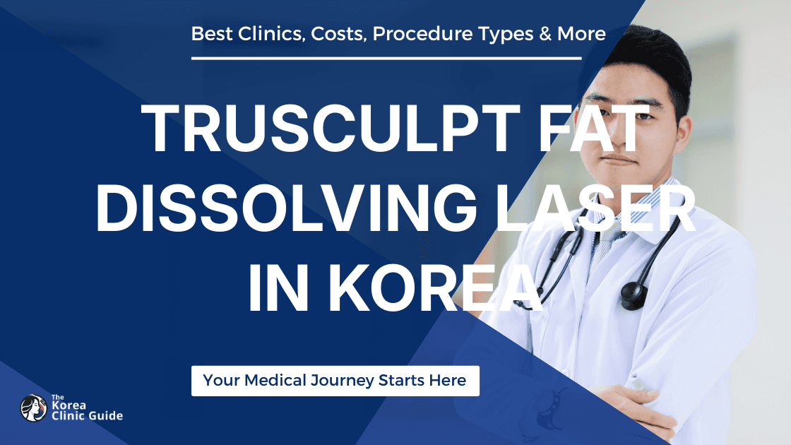 TruSculpt Fat Dissolving Laser in Korea | Best Clinics, Costs, Procedure Types & More