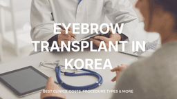 Eyebrow Transplant in Korea | Best Clinics, Costs, Procedure Types & More