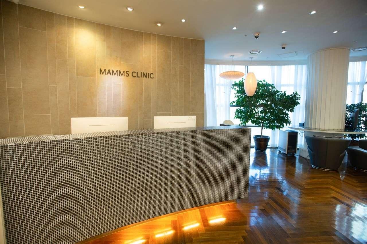 Mamms Clinic Plastic Surgery1