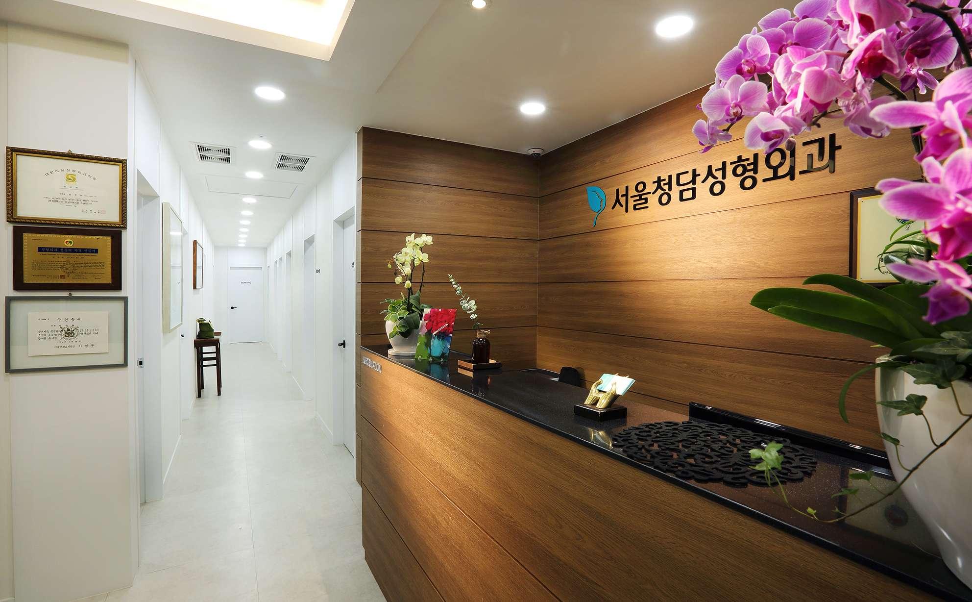 Seoul Cheongdam Plastic Surgery Clinic1