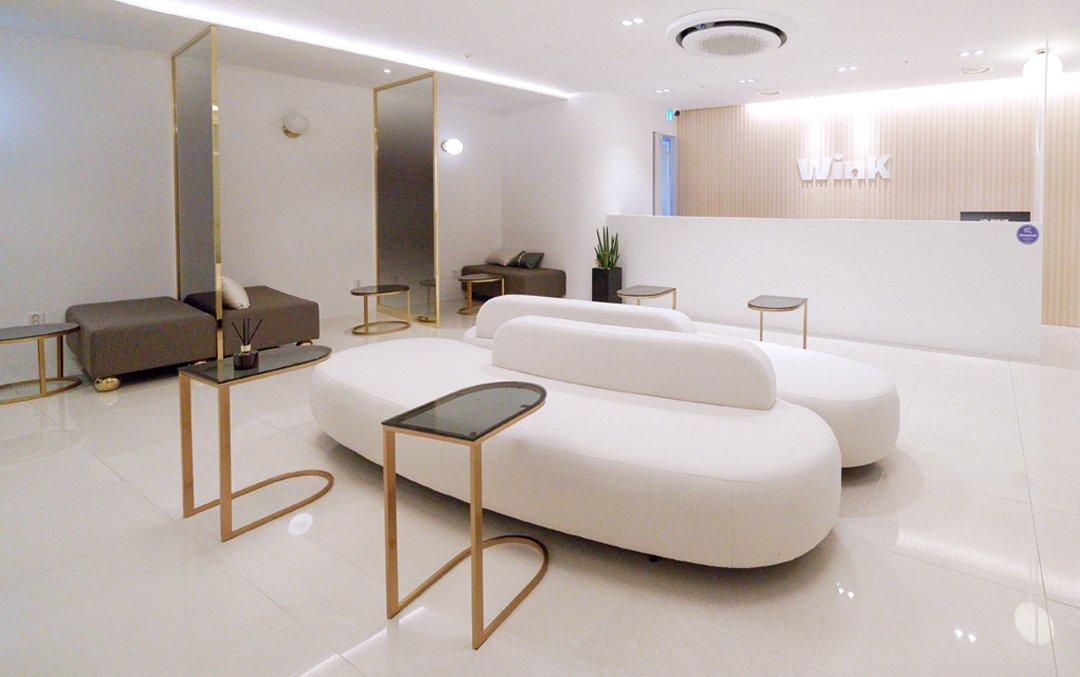 Wink Plastic Surgery Clinic1