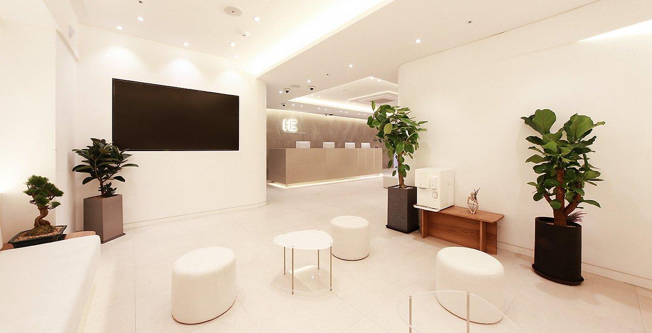 High End Plastic Surgery Clinic3