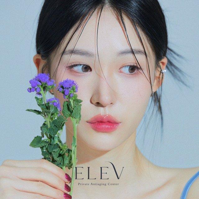 Elev Private Antiaging Center in Korea: Tailored Beauty Innovations for Effective Anti-Aging and Personal Wellness