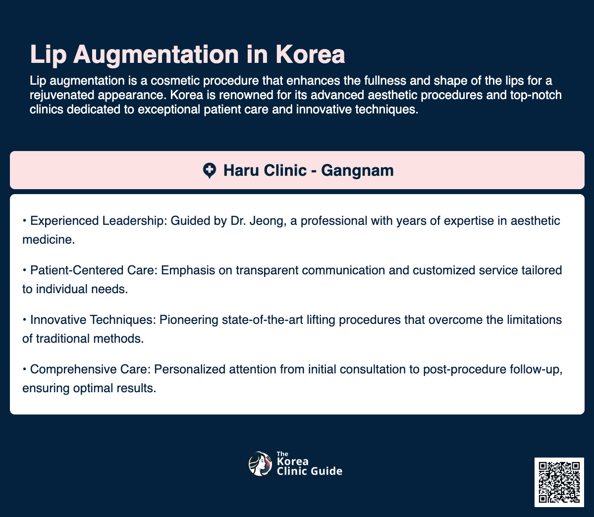 lip augmentation korea