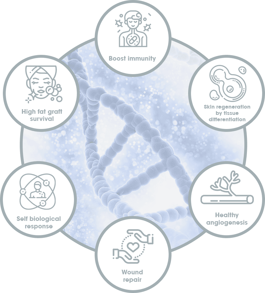 stem cell fat grafting korea