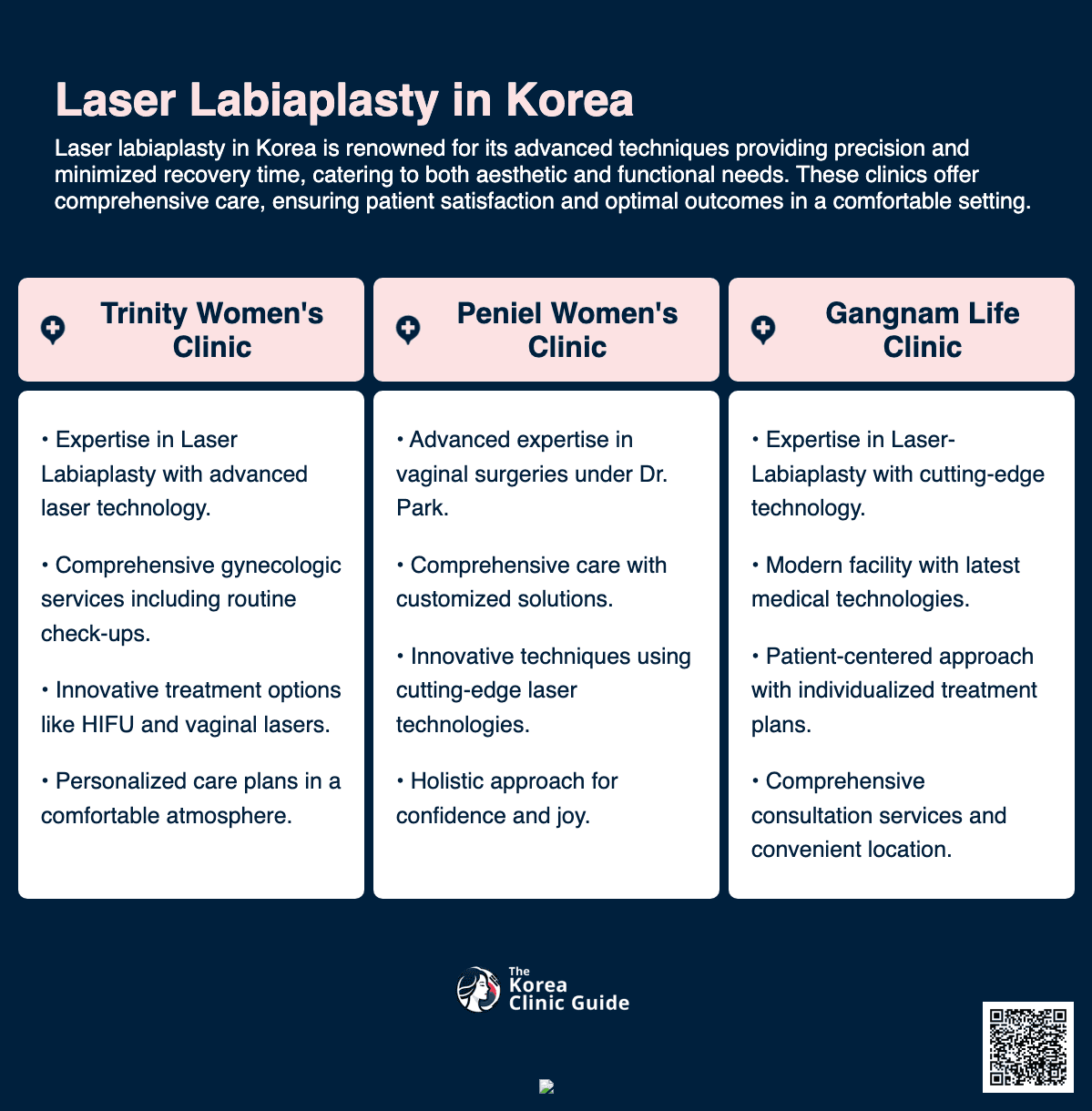 laser labiaplasty korea