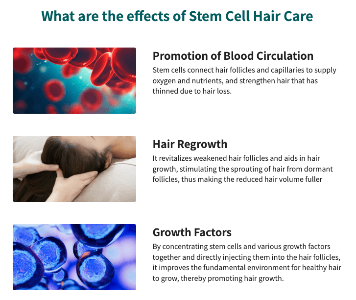 stem cell scalp therapy korea