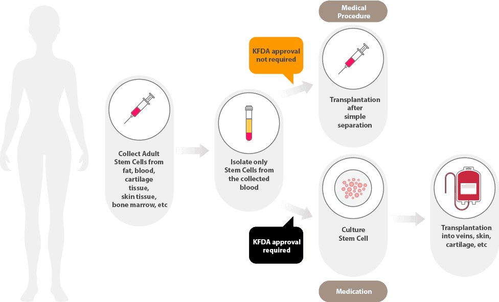 stem cell scalp therapy korea