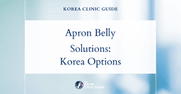 Hanging Apron Belly Solutions: Panniculectomy Procedure Options in Korea