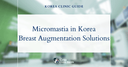 Micromastia in Korea: Breast Augmentation Procedures as Effective Solutions