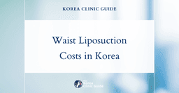 Korea vs. 5 Countries: Discover the Real Price of Waist Liposuction and What Sets Korea Apart