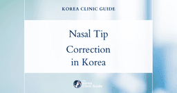Underprojected Nasal Tip Correction with Tip Plasty Procedures in Korea: Expert Solutions