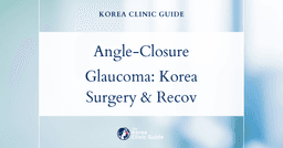 Chronic Angle-Closure Glaucoma Surgery in Korea: Glaucoma Surgery Options and Recovery