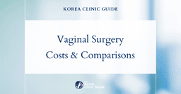 Korea vs. the World: Petit Vaginal Plastic Surgery Costs Across Top Medical Tourism Destinations