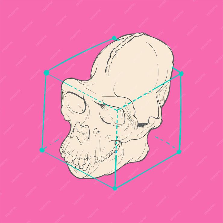 Cheekbone Reduction in Korea: Methods, Recovery, Risks, and Travel Planning