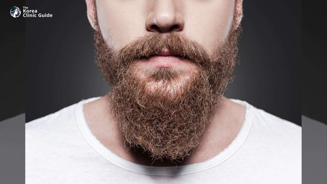 Beard Hair Transplant in Korea: Methods, Recovery, Travel Planning, and Results Timeline