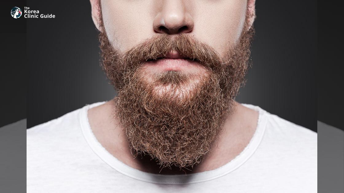 Beard Hair Transplant in Korea: Methods, Recovery, Travel Planning, and Results Timeline