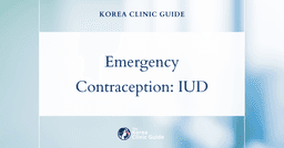 Emergency Contraception in Korea: IUD Birth Control (Mirena) as a Reliable Solution