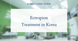 Ectropion Treatment in Korea: Canthoplasty, Eyelid Repair & More for Perfect Results