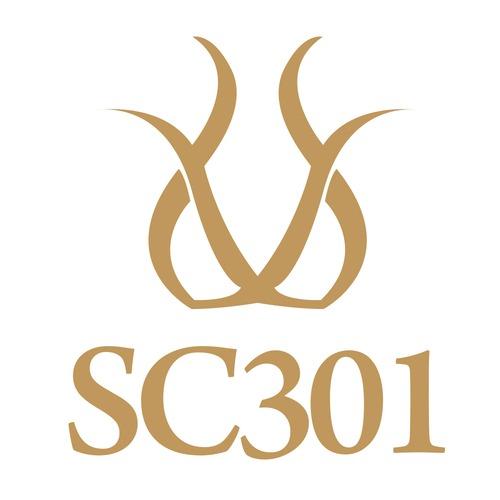 SC301 Clinic Korea | Seoul Samsung Plastic Surgery, Body Contouring, Laser & Wellness Treatments