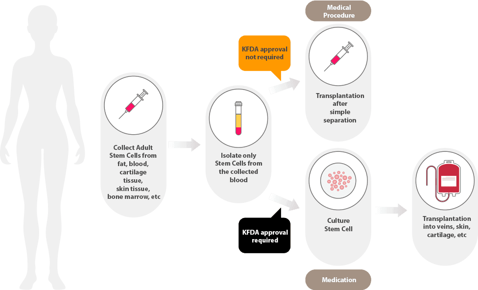 Stem Cell Acne Scar, Stem Cell Disease Therapy, Stem Cell Hair Treatment, Stem Cell Scalp Therapy
