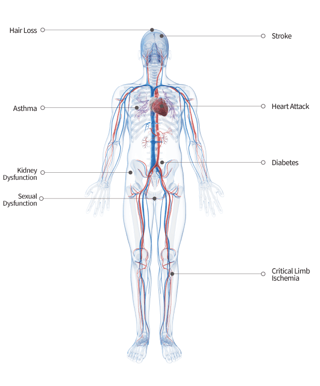 Stem Cell Disease Therapy